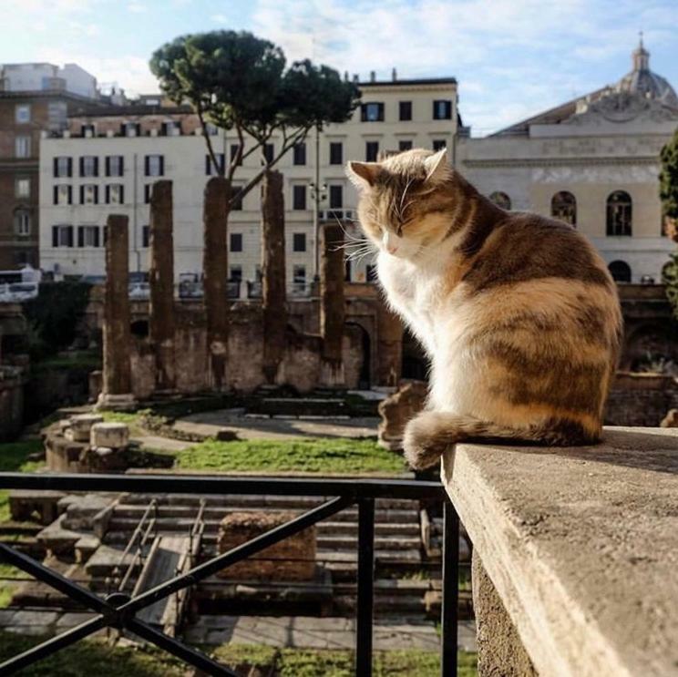 Ancient Roman Mansion المظهر الخارجي الصورة